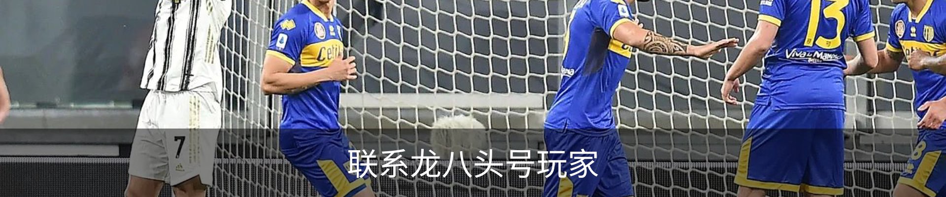 联系龙八头号玩家